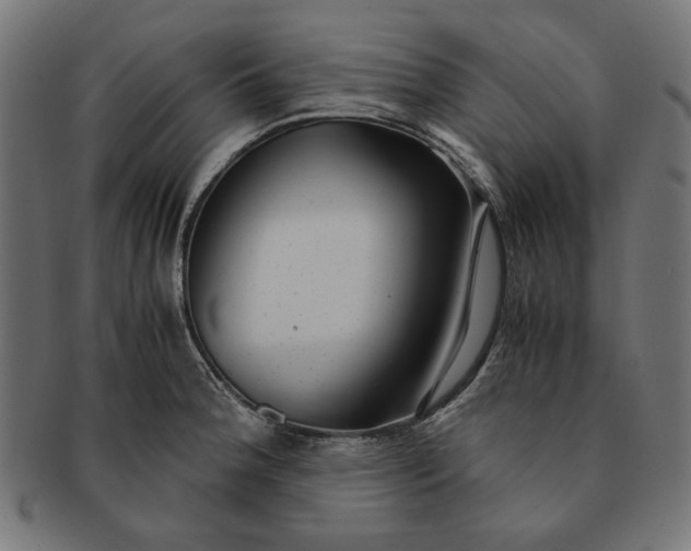 X0000091221188200709061453