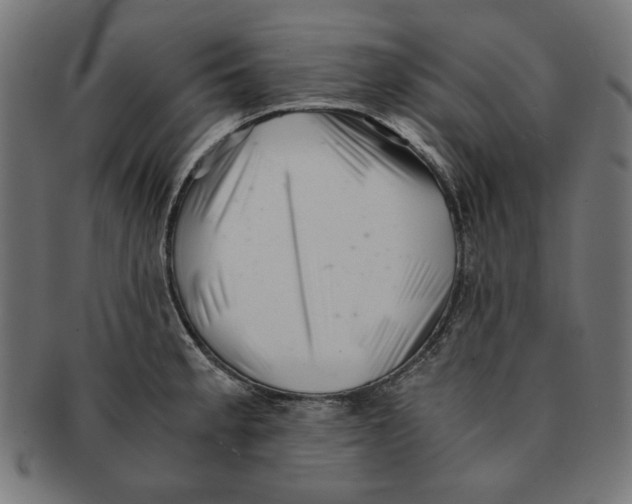 X0000091221189200709061453