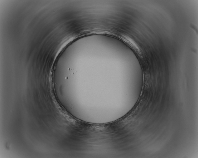 X0000091221190200709061453