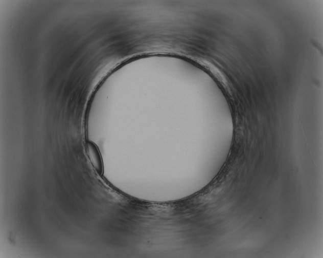 X0000091221191200709061453