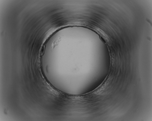 X0000091221192200709061453