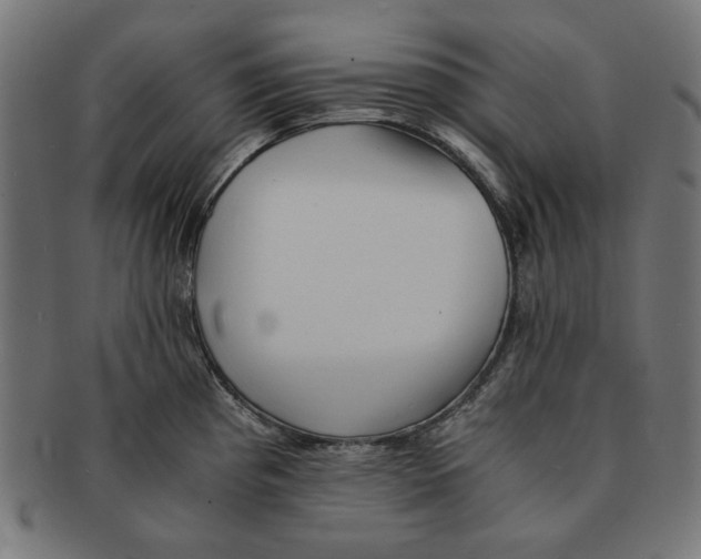 X0000091221193200709061453