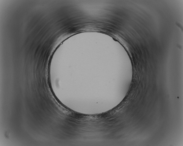 X0000091221195200709061453