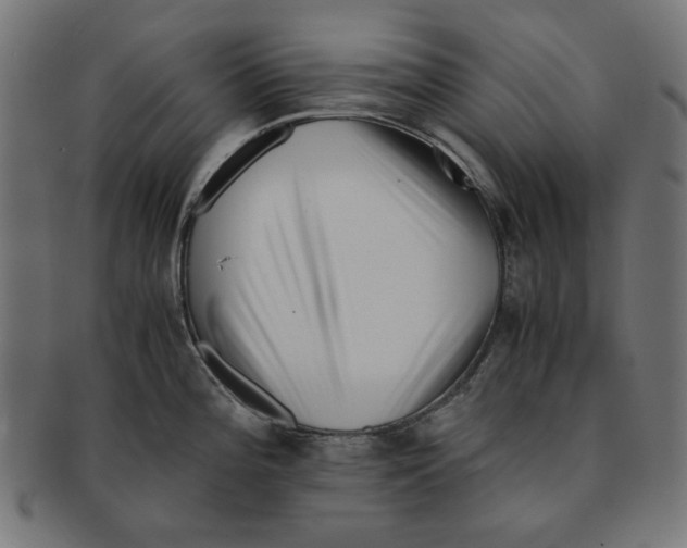 X0000091221196200709061453