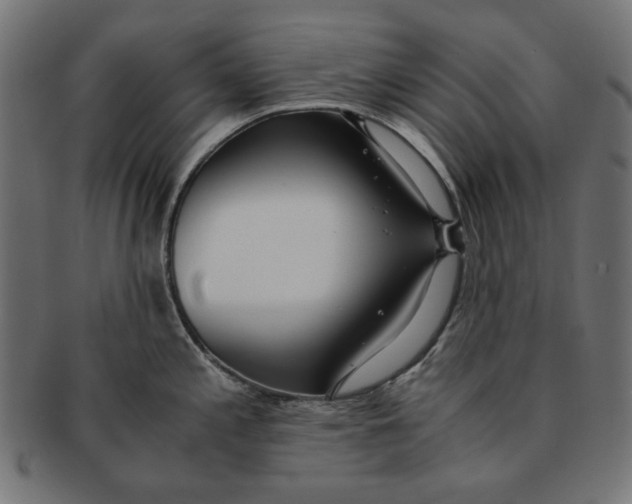 X0000091221197200709061453