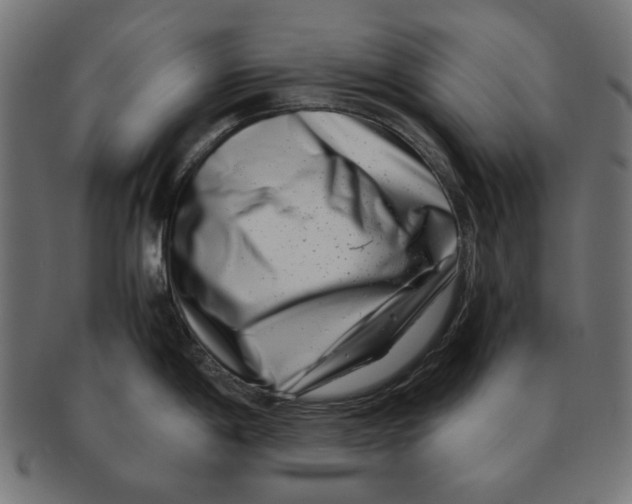 X0000091221198200709061453