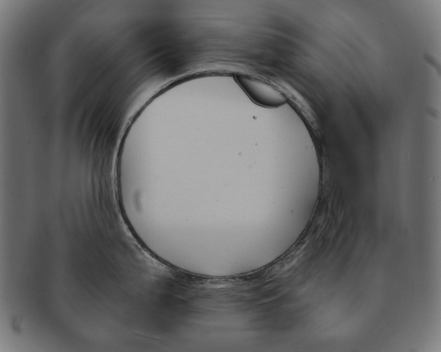 X0000091221199200709061453