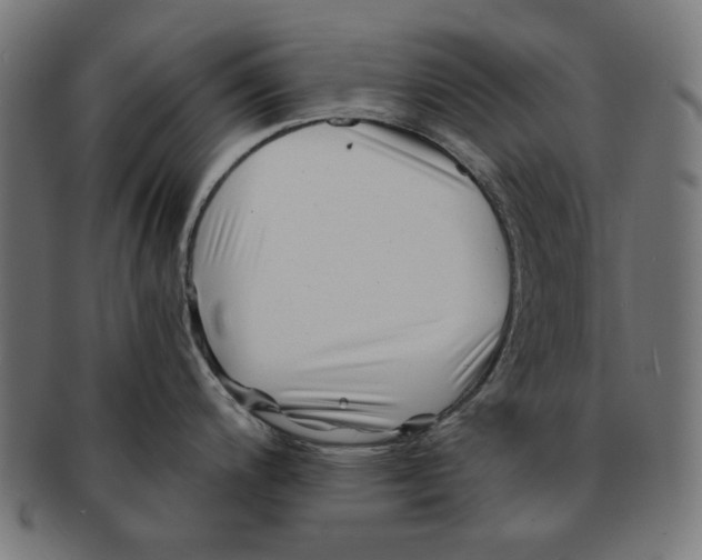 X0000091221200200709061453