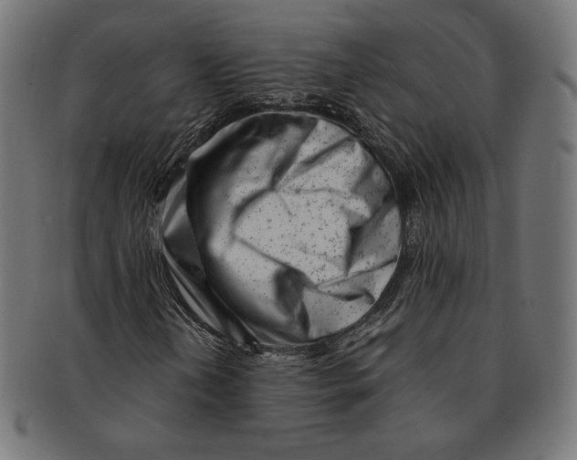 X0000091221202200709061452