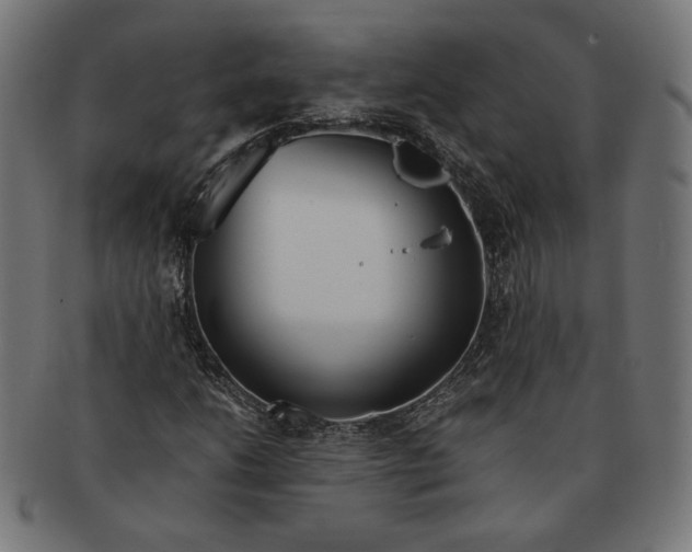 X0000091221206200709061452