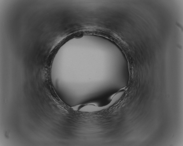 X0000091221208200709061452