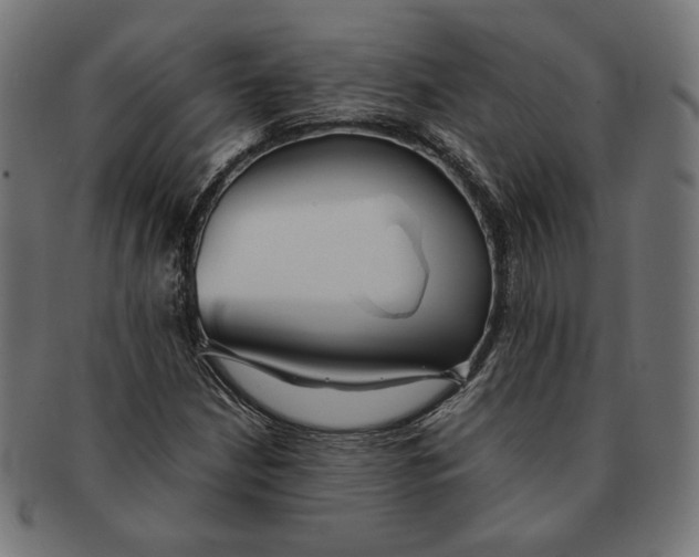 X0000091221210200709061452