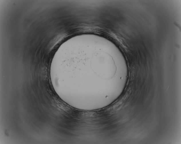 X0000091221211200709061452