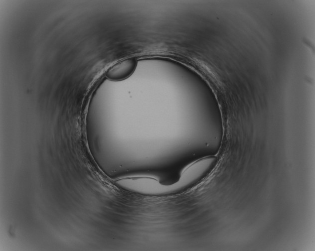 X0000091221212200709061452