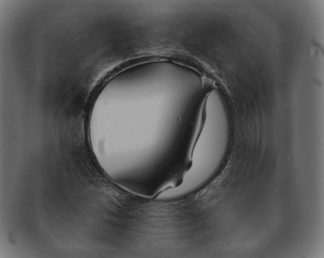 X0000091221214200709061453