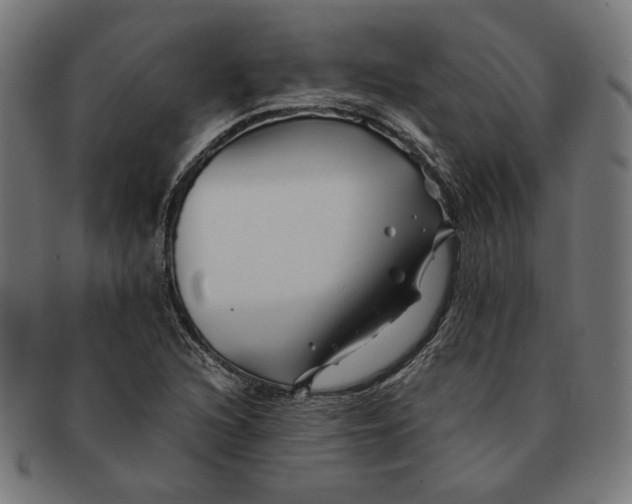 X0000091221216200709061453