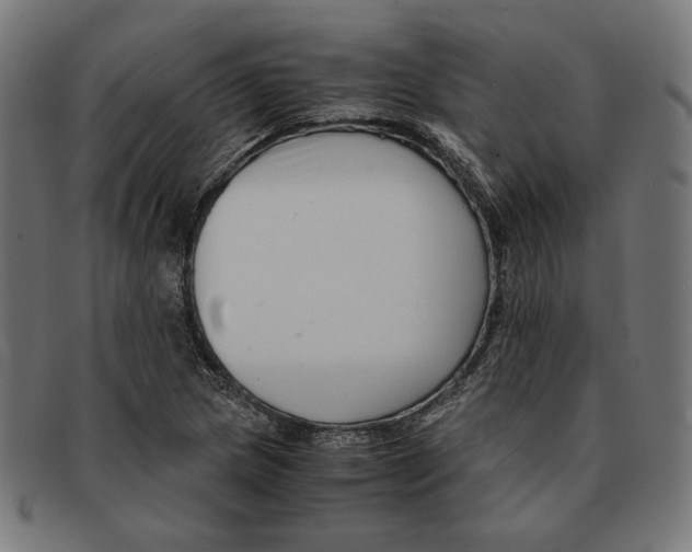 X0000091221217200709061453