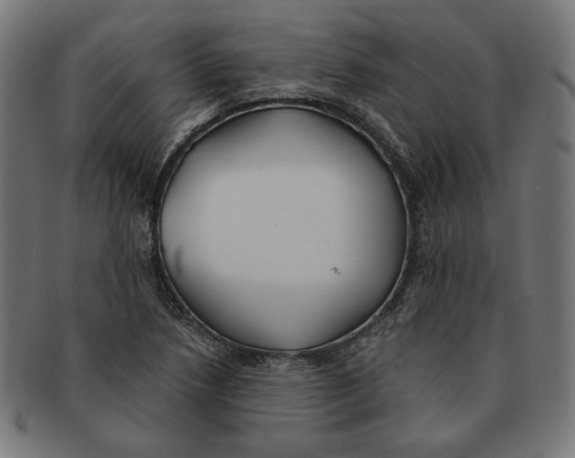 X0000091221218200709061453