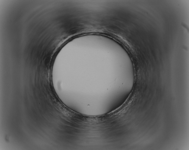 X0000091221220200709061453