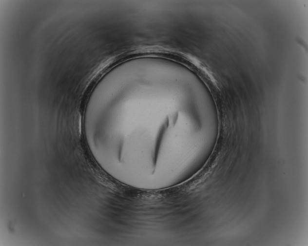 X0000091221221200709061453