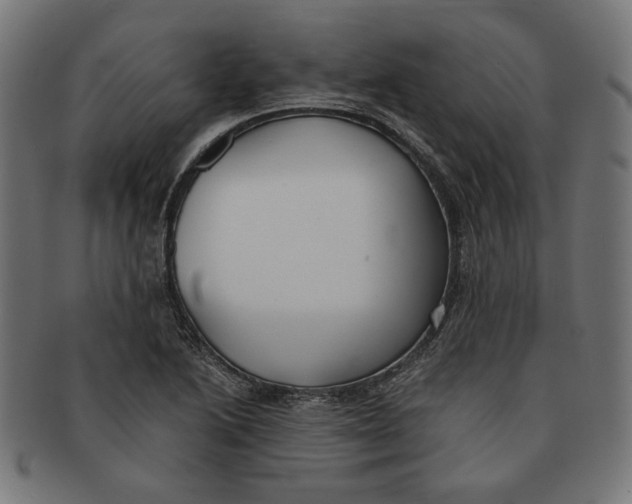 X0000091221222200709061453