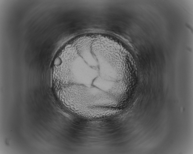 X0000091221223200709061453