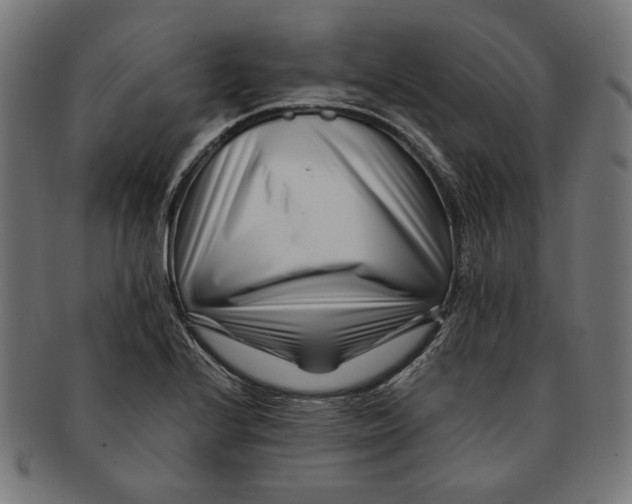 X0000091221224200709061453