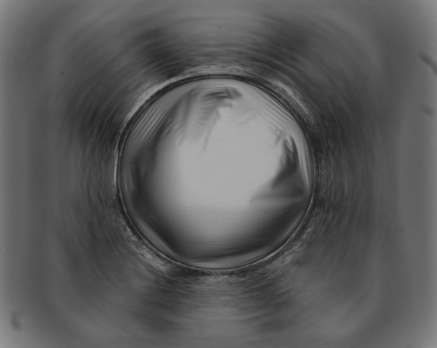 X0000091221228200709061453