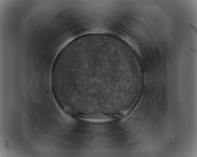 X0000091221229200709061453