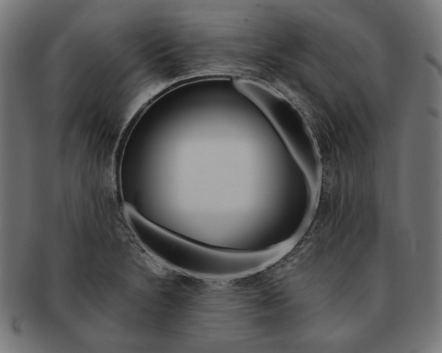 X0000091221230200709061453