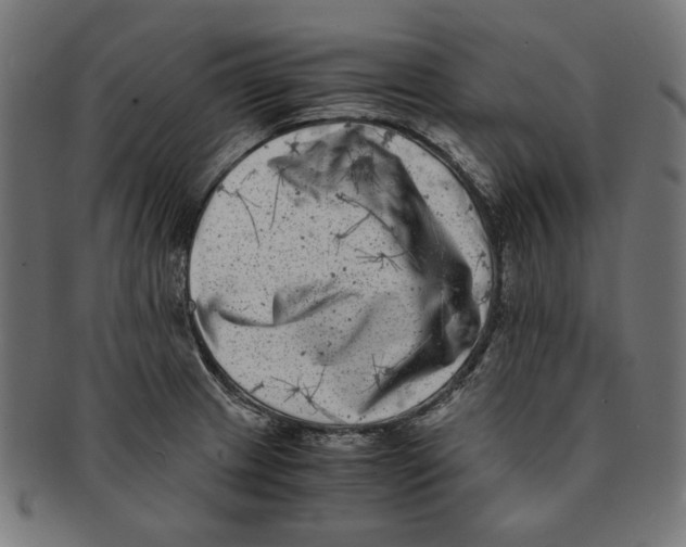 X0000091221233200709061453