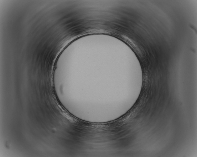 X0000091221236200709061453