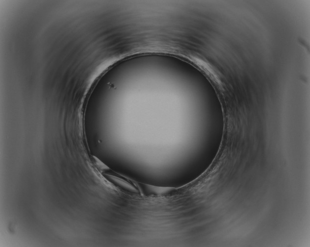 X0000091221238200709061453