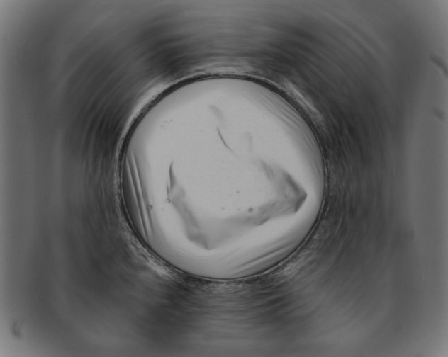 X0000091221240200709061453