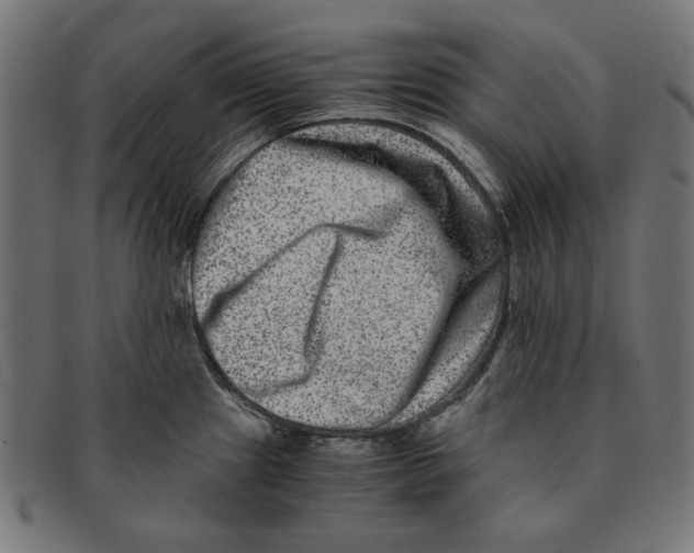 X0000091221241200709061453