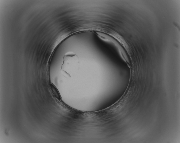 X0000091221242200709061453