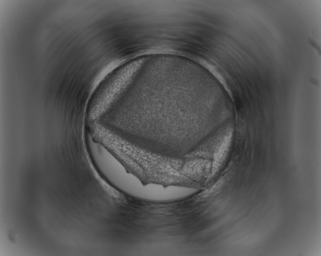 X0000091221245200709061453