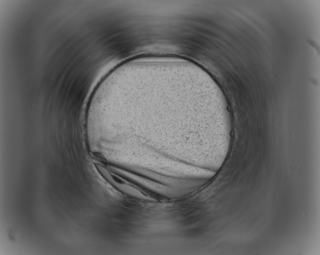 X0000091221248200709061453