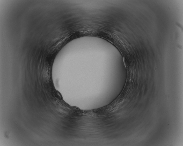 X0000091221250200709061452