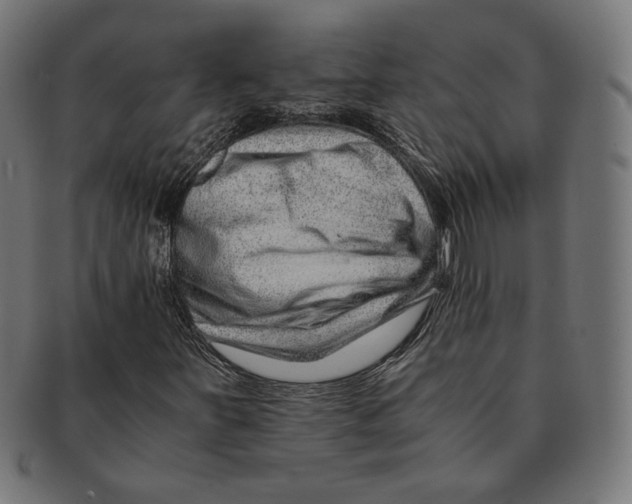 X0000091221251200709061452