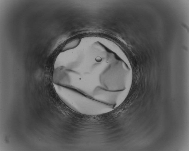 X0000091221255200709061452