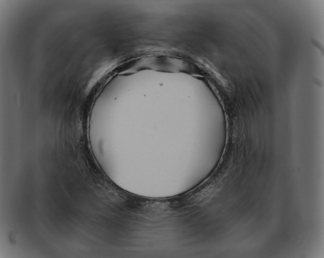 X0000091221261200709061452