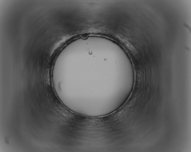 X0000091221262200709061452