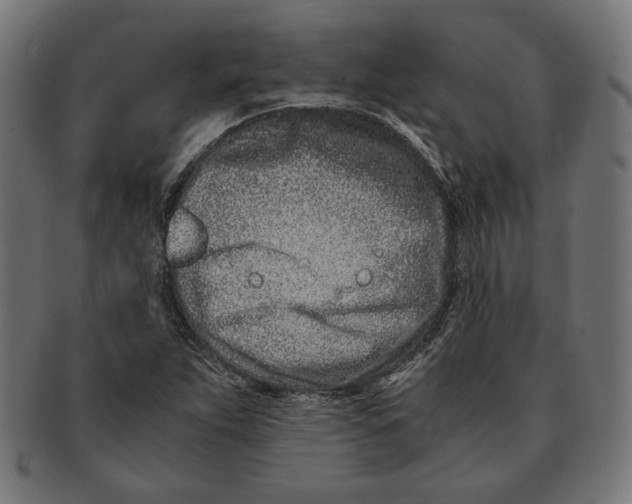 X0000091221263200709061452