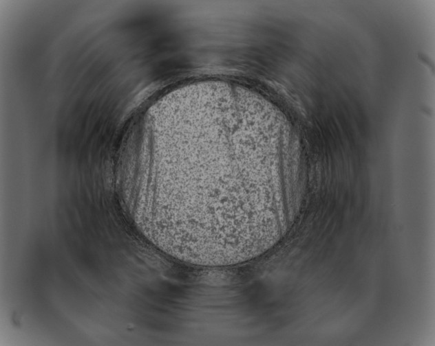 X0000091221266200709061452