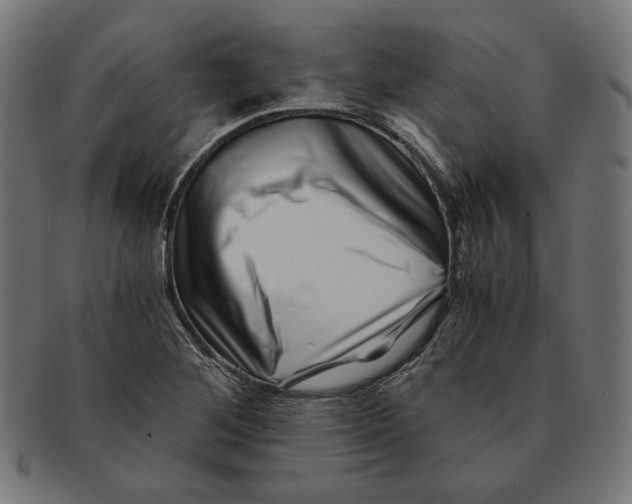 X0000091221268200709061452