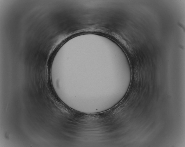 X0000091221270200709061452