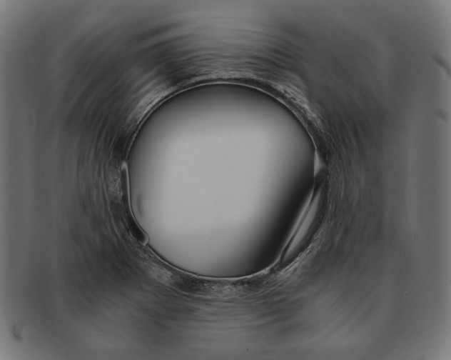 X0000091221273200709061452