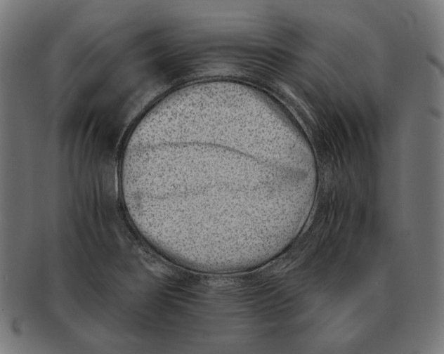 X0000091221274200709061452