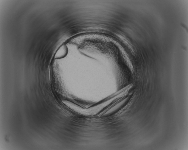 X0000091221275200709061452